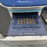 Applied Biosystems SteponePlus Real-time PCR System image 3
